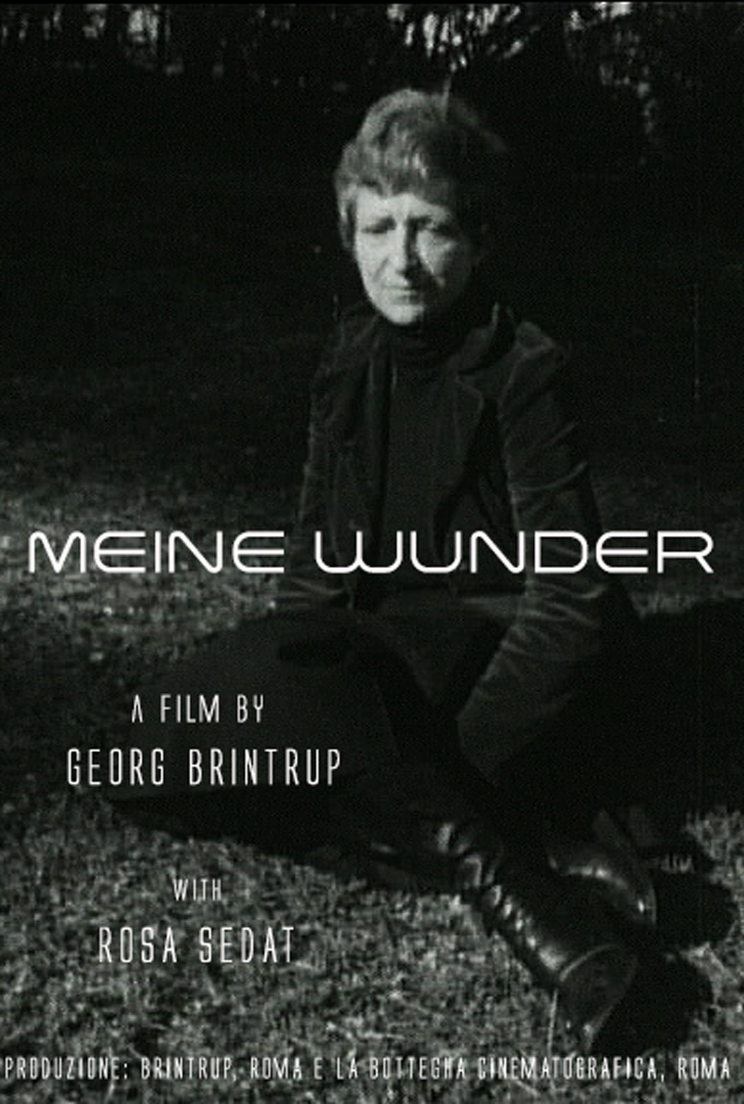 Poster des Films MEINE WUNDER